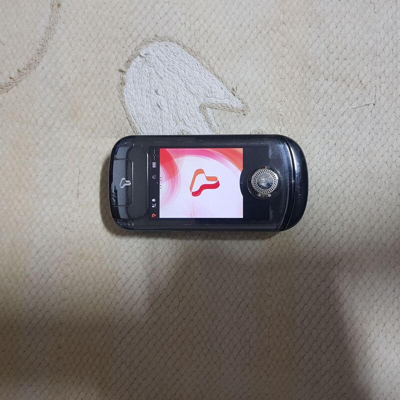 ���������� ���� ZN40