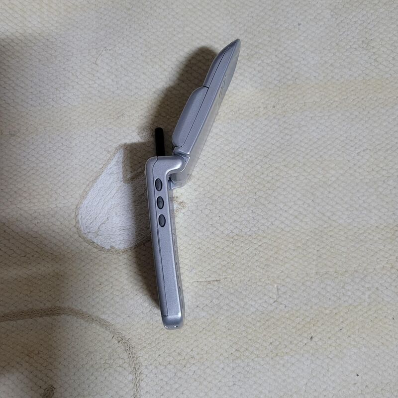 ����ζ� ��Ÿ�� Ÿ����Ʈ �ǹ� ������