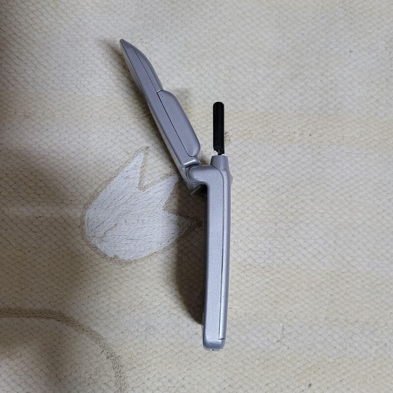 ����ζ� ��Ÿ�� Ÿ����Ʈ �ǹ� ������