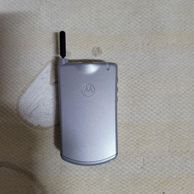 ����ζ� ��Ÿ�� Ÿ����Ʈ �ǹ� ������