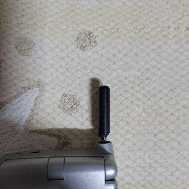 ����ζ� ��Ÿ�� Ÿ����Ʈ �ǹ� ������