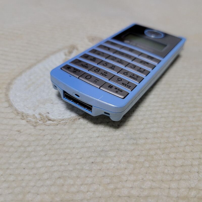 NS1000 ������