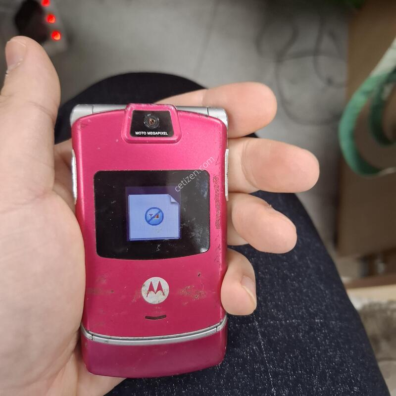 ����ζ� ������