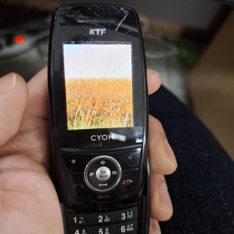 �����̵� ���׳���