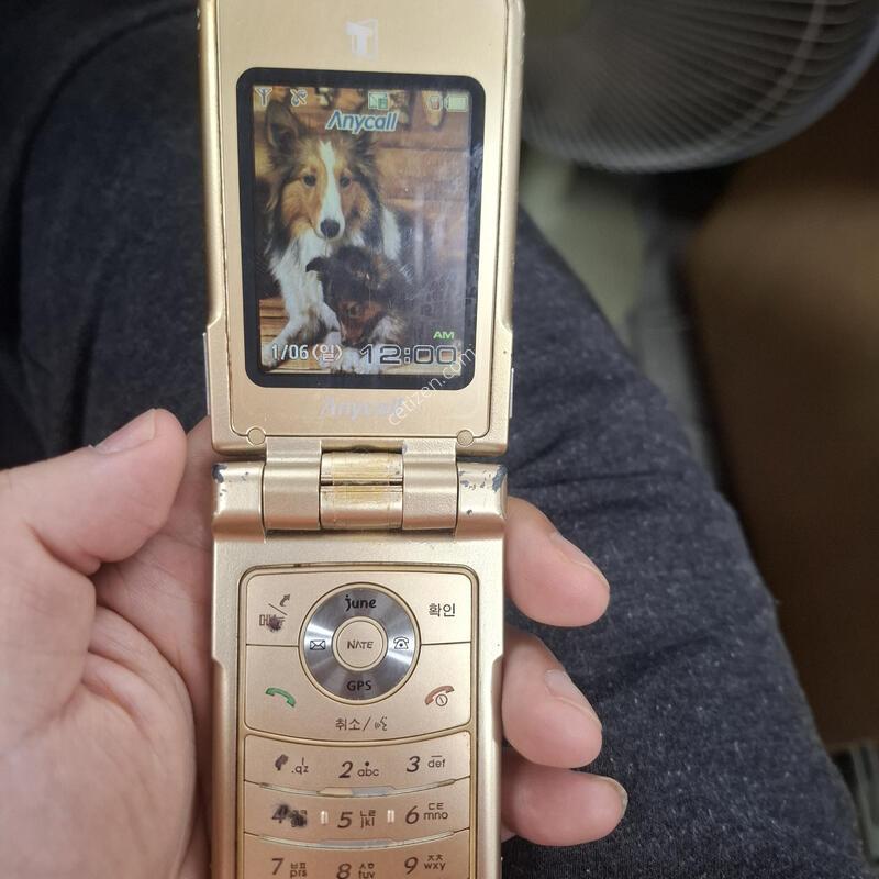 �ִ��� �������� �ʽ���