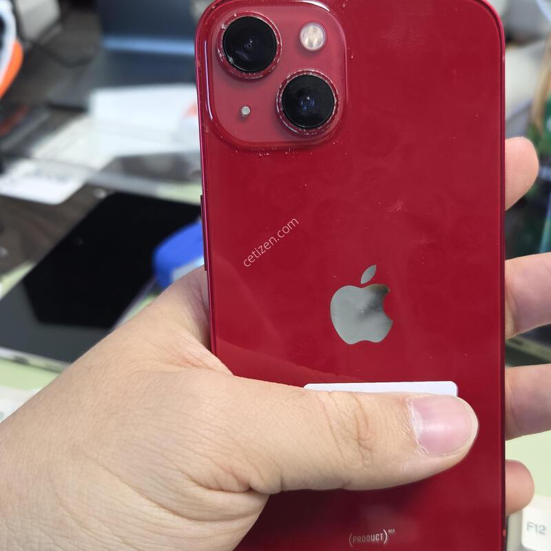 (2409)������13 256