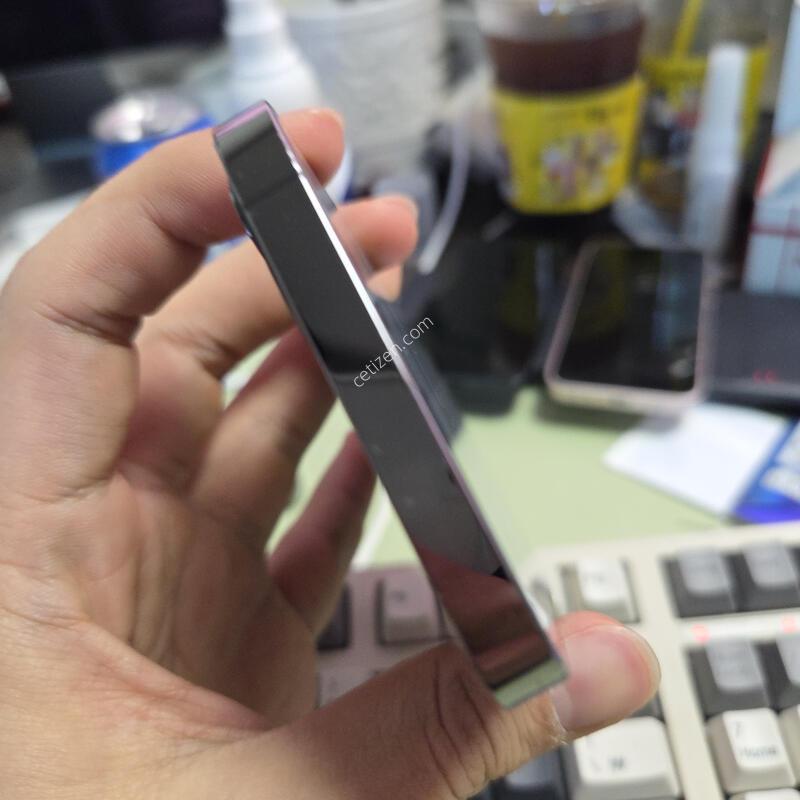 (2004)12����