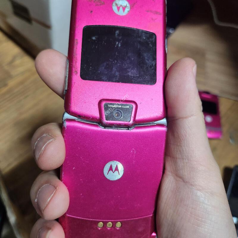 ����ζ� ������