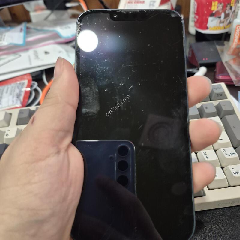 (2603)������13 256