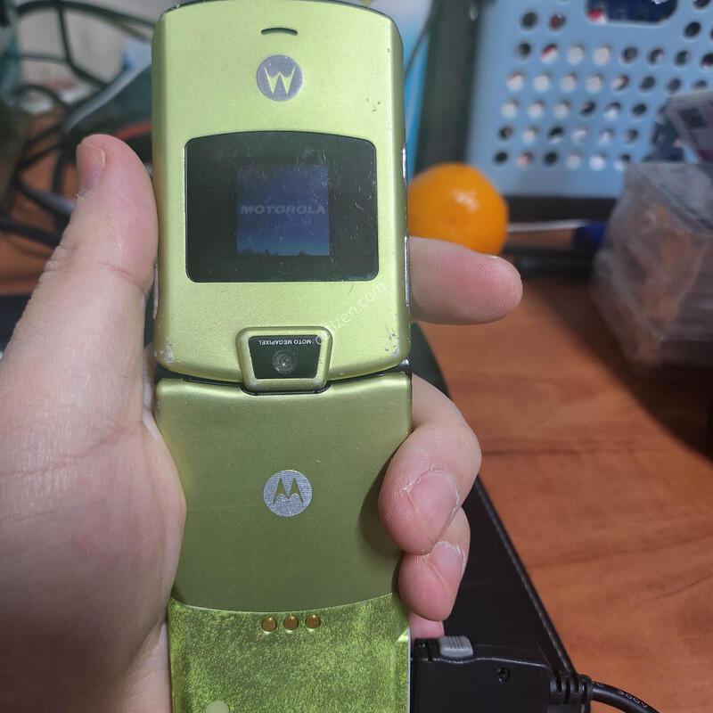 ����ζ� ������