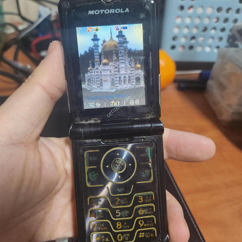 ����ζ� ������