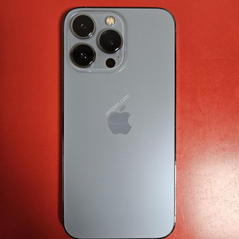 ������13���� �������� ������