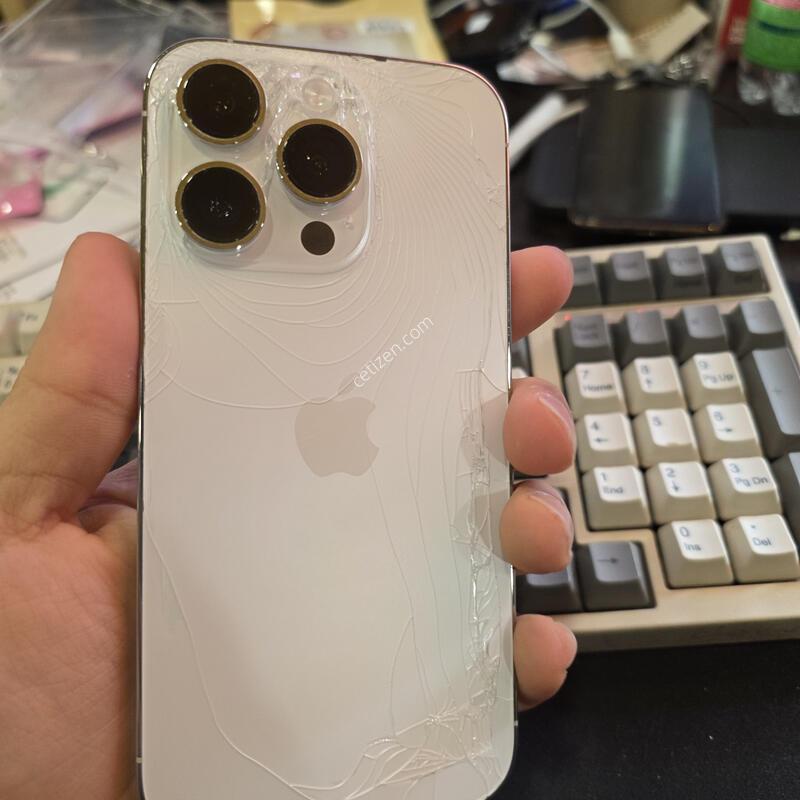 (3890)14���� 256