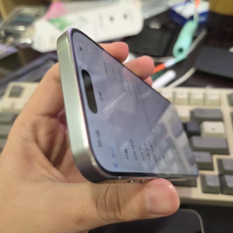 (5884)15���� 256