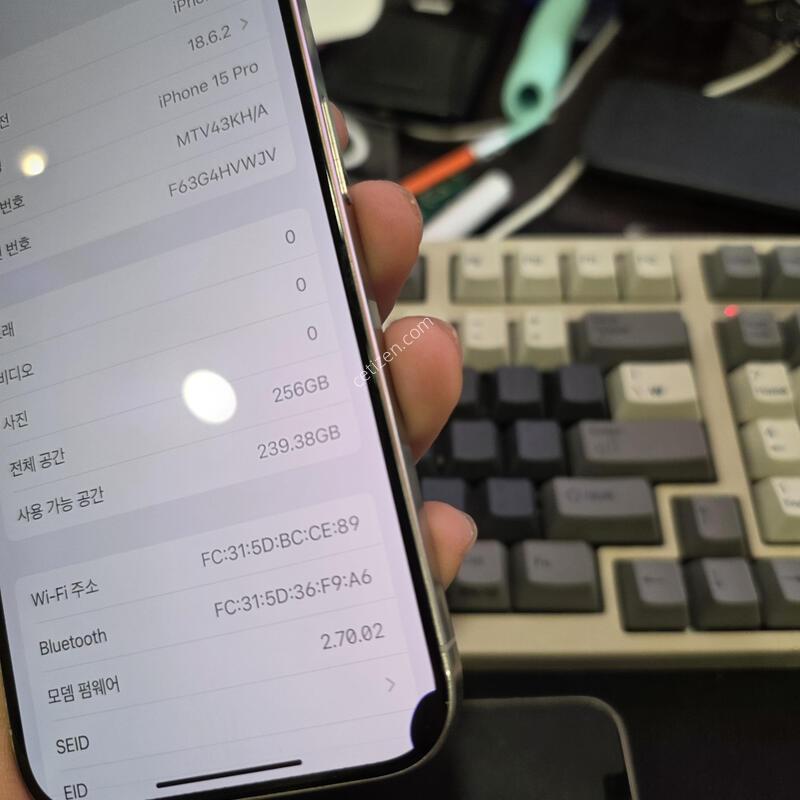 (5884)15���� 256