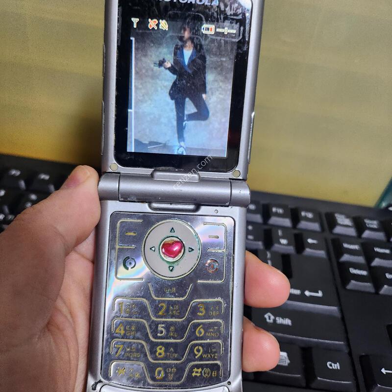 ����ζ� ������