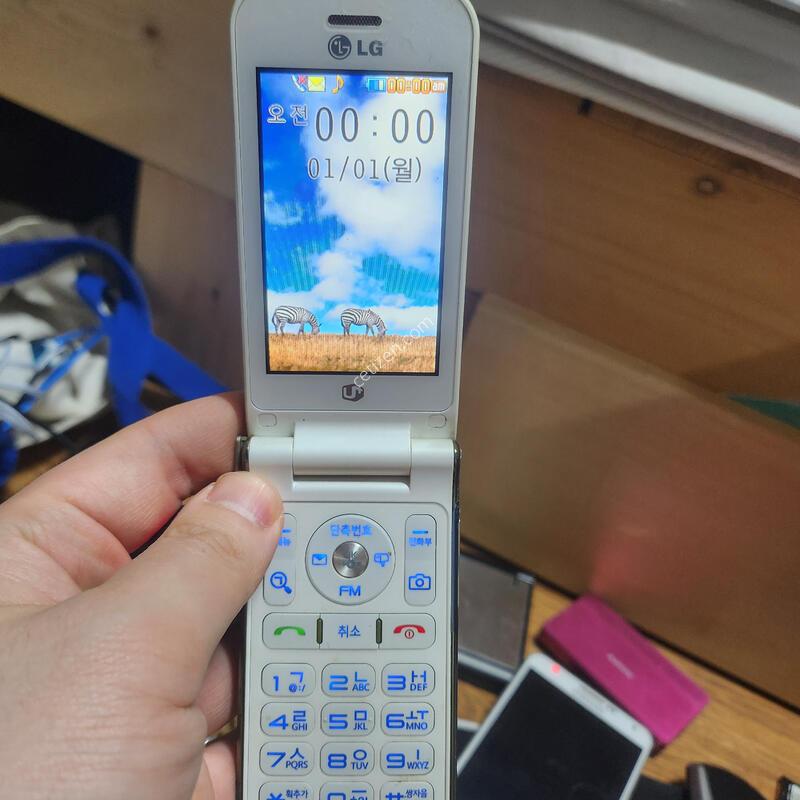 lg ������