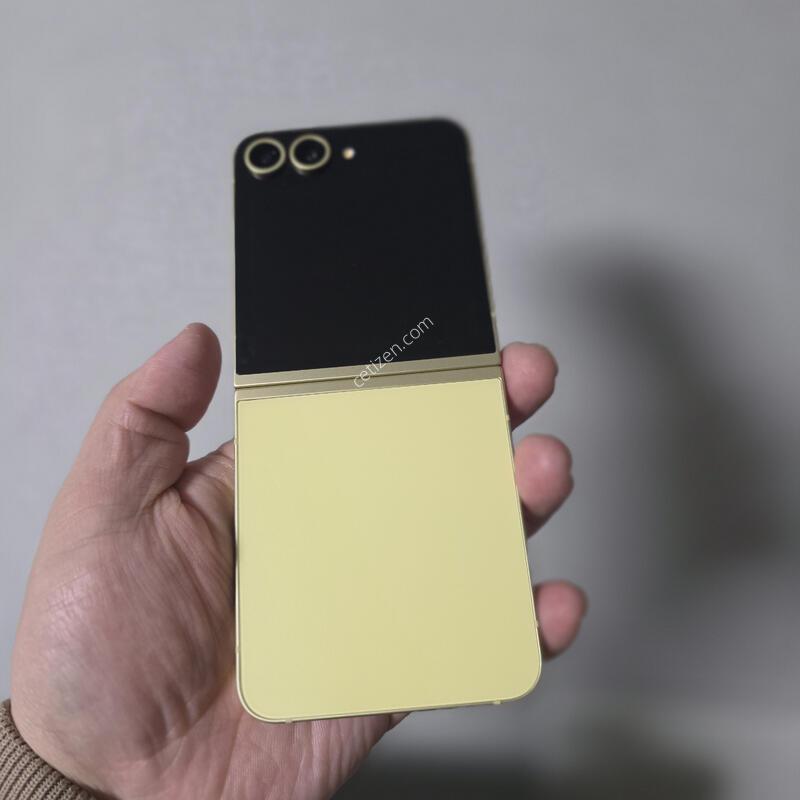 ������ Z�ø�6 ���ο� 256�Ⱑ SS�� �˴ϴ�