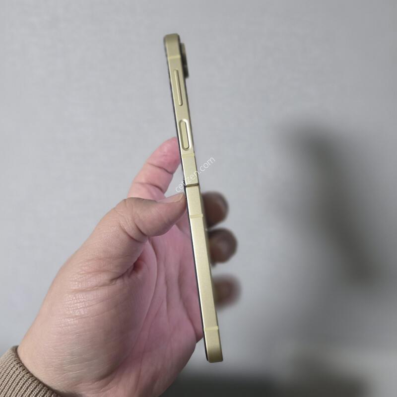 ������ Z�ø�6 ���ο� 256�Ⱑ SS�� �˴ϴ�