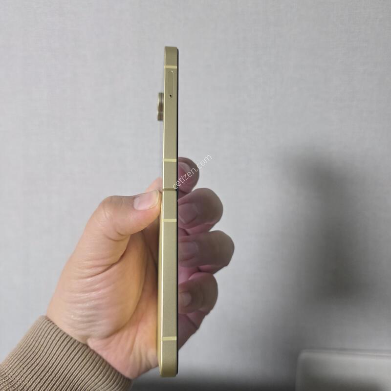 ������ Z�ø�6 ���ο� 256�Ⱑ SS�� �˴ϴ�