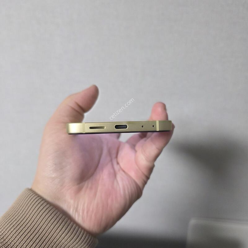 ������ Z�ø�6 ���ο� 256�Ⱑ SS�� �˴ϴ�