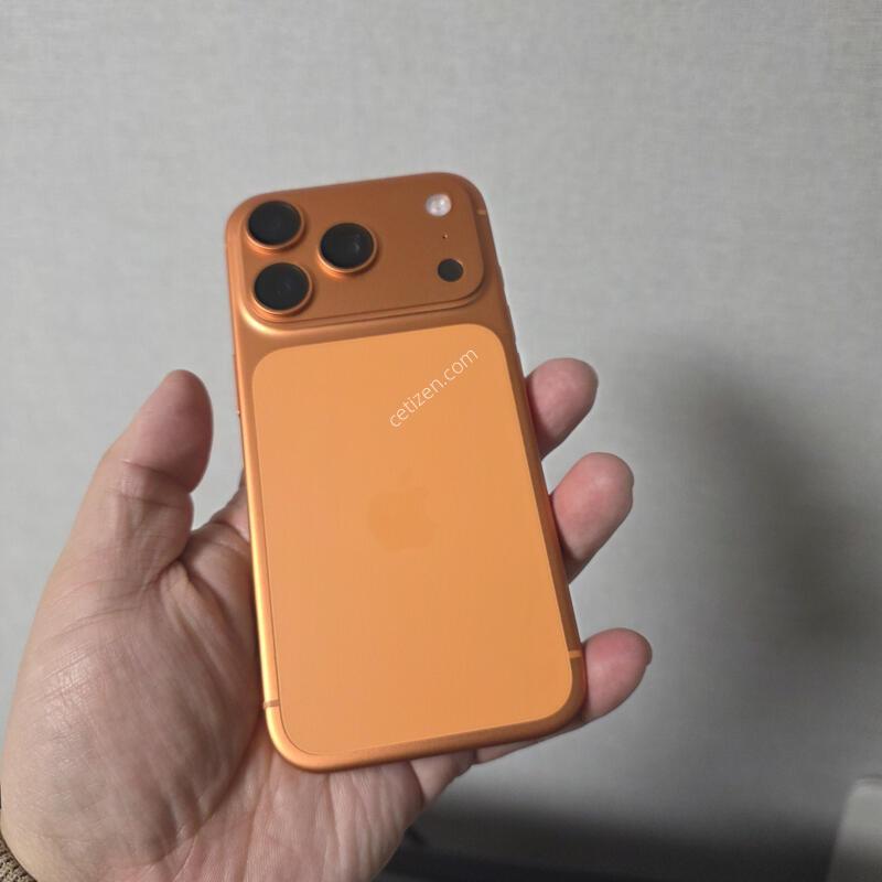 ������17���� ������ 256�Ⱑ SS�� �˴ϴ�(���͸�100%)