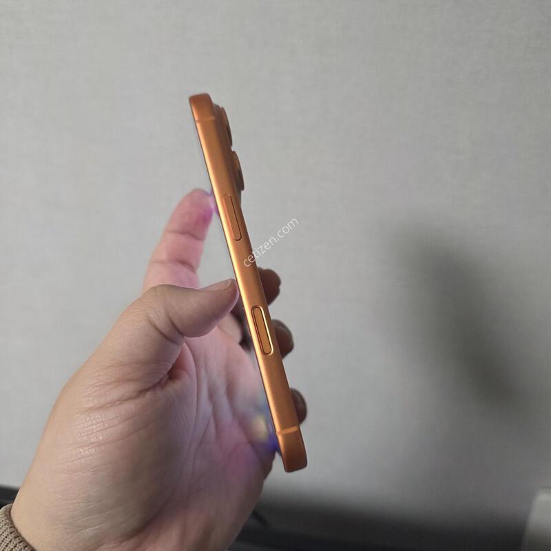 ������17���� ������ 256�Ⱑ SS�� �˴ϴ�(���͸�100%)