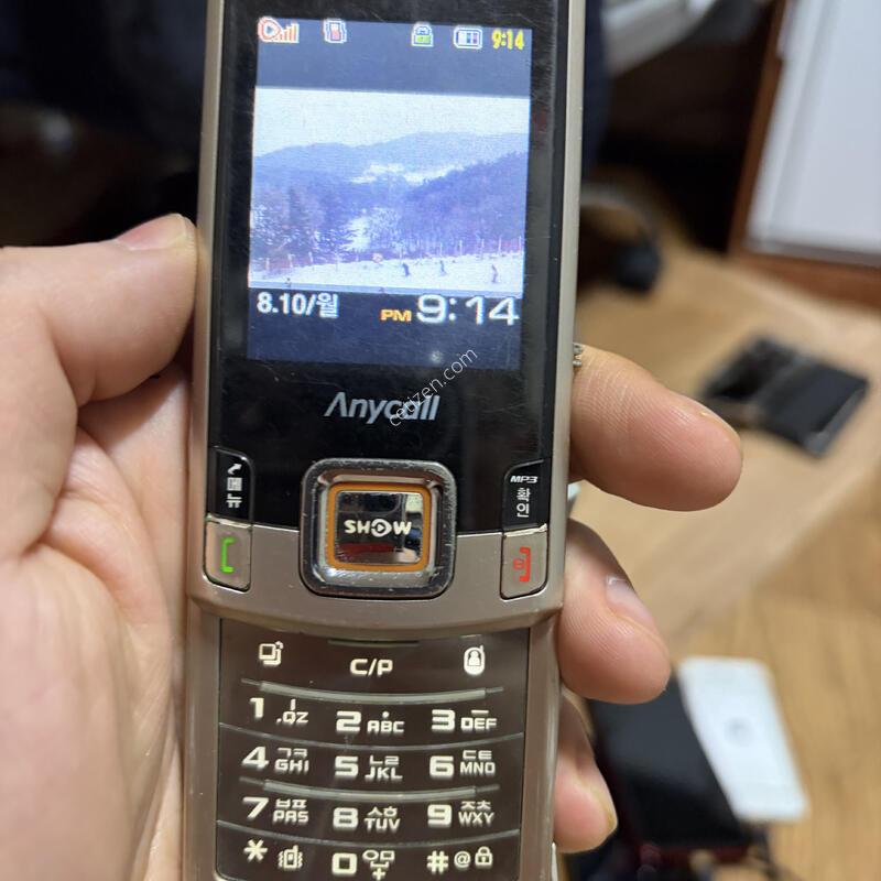 �ִ��� �Ľ���