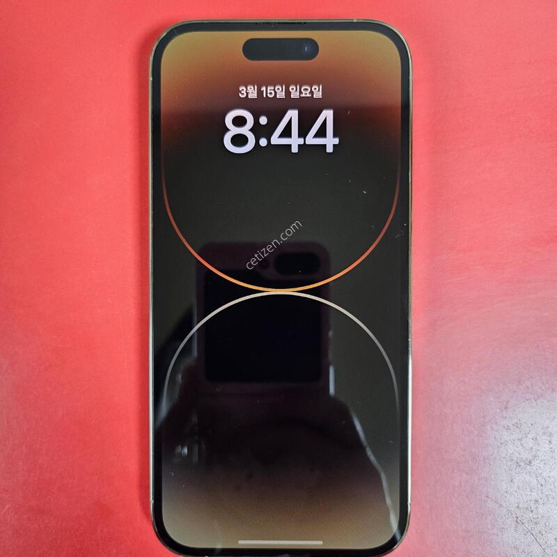 ������14���� �������� ������