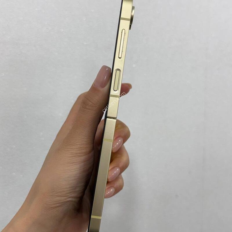 (A��)������Z�ø�6 ���ο� 256 Y1640