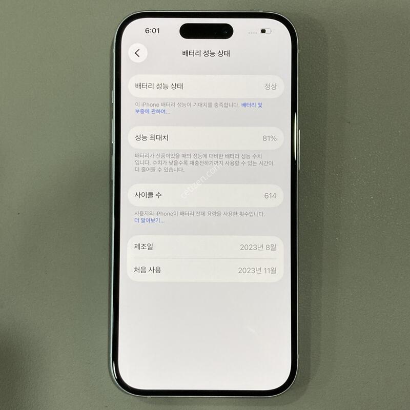 15 ���� 256G, 81%, �ܰ�����, ����S, ����� ���ƿ�!