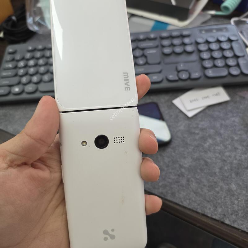 (289)��Ÿ������