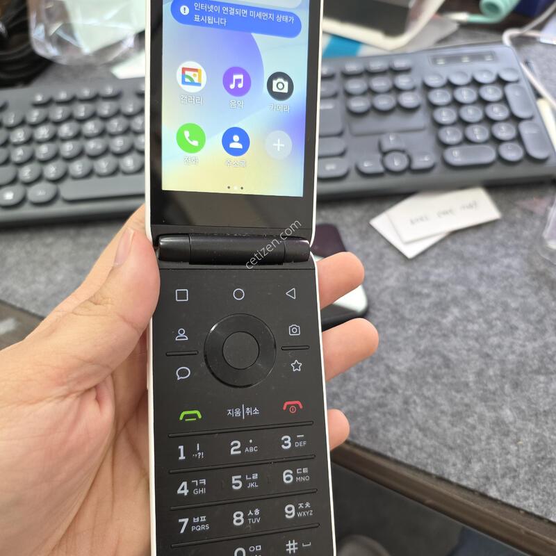 (289)��Ÿ������