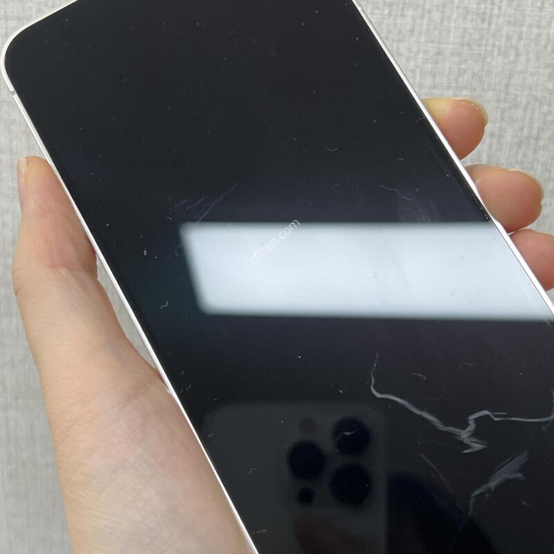 [�Ǽ���]������S24/S921/512/�ڹ����ο�/83897