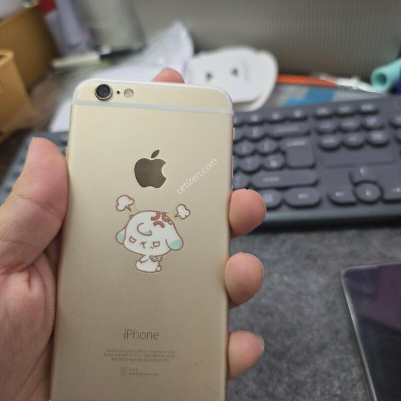 (504)������6