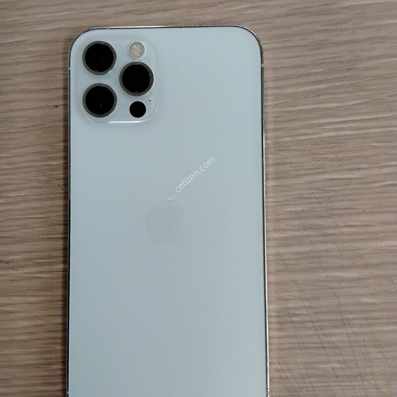 ������12 ����.256�Ⱑ ȭ��Ʈ