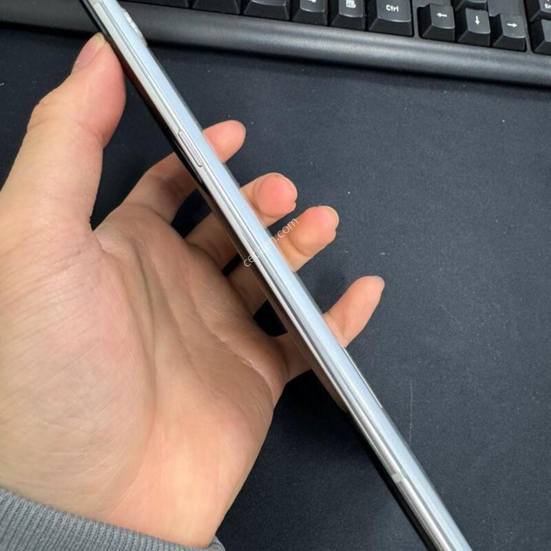 ������ ����