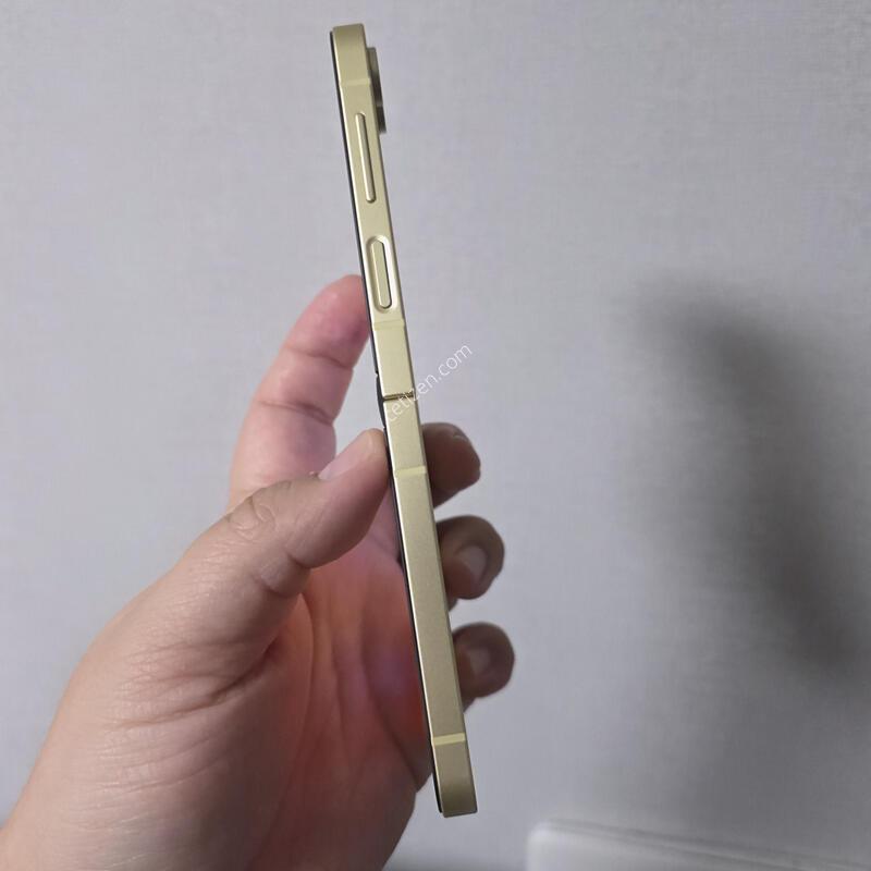 ������ Z�ø�6 ���ο� 256�Ⱑ SS�� �˴ϴ�