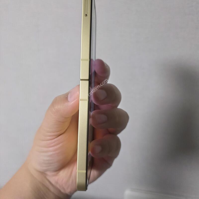 ������ Z�ø�6 ���ο� 256�Ⱑ SS�� �˴ϴ�