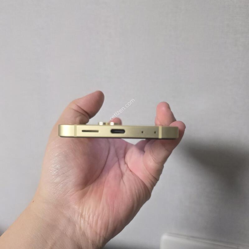 ������ Z�ø�6 ���ο� 256�Ⱑ SS�� �˴ϴ�