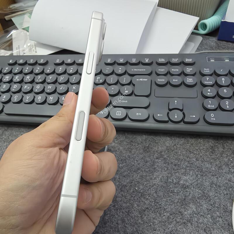 (9804)������17 256