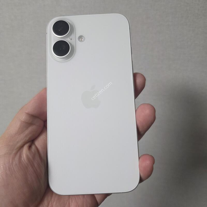 ������16 ȭ��Ʈ 256�Ⱑ SS�� �˴ϴ�