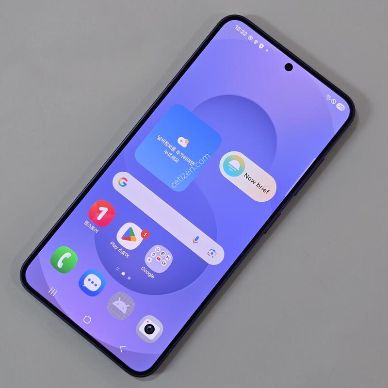 ������ S25 256GB ���� 74233