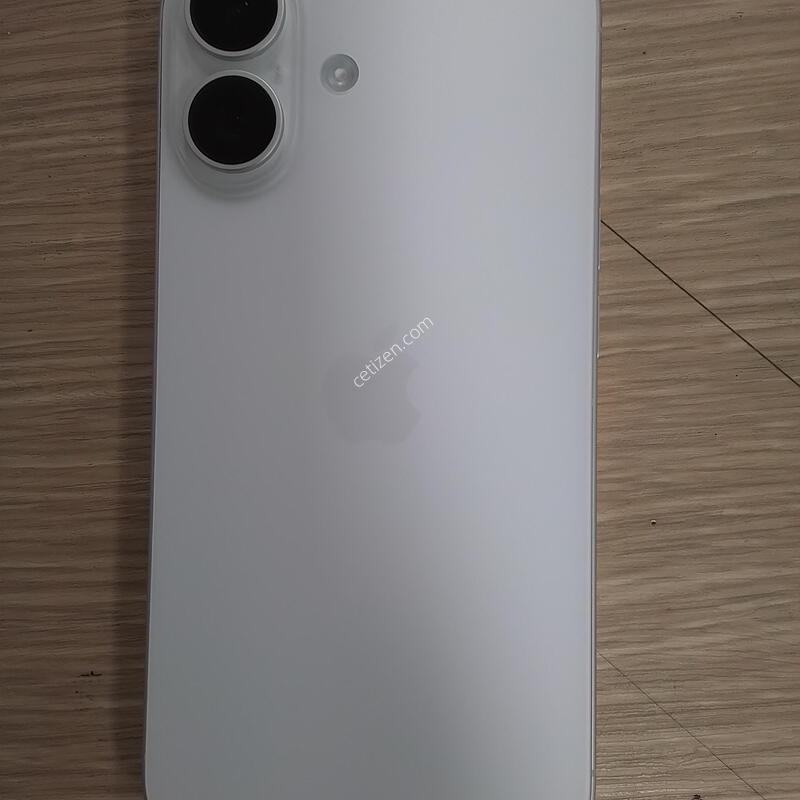 ������16 256�Ⱑ