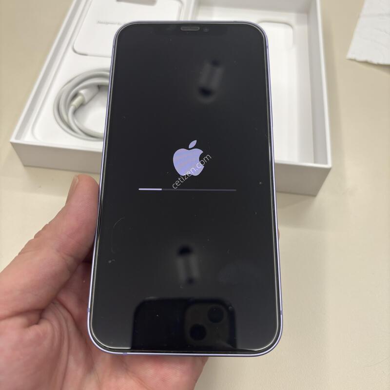 ������ 12 ���� 256GB