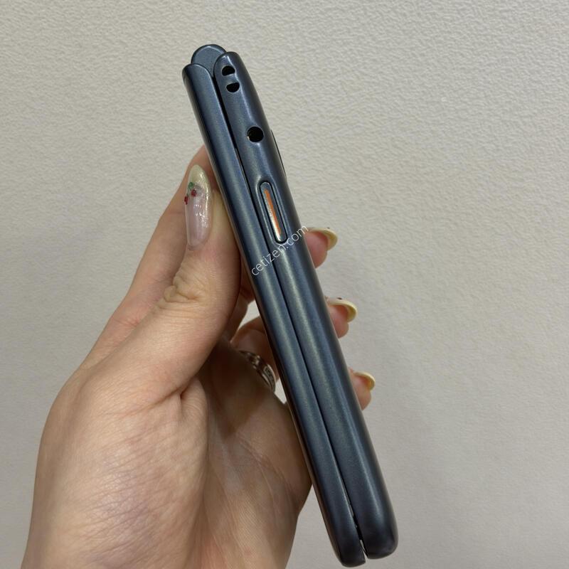 ��Ÿ������2����