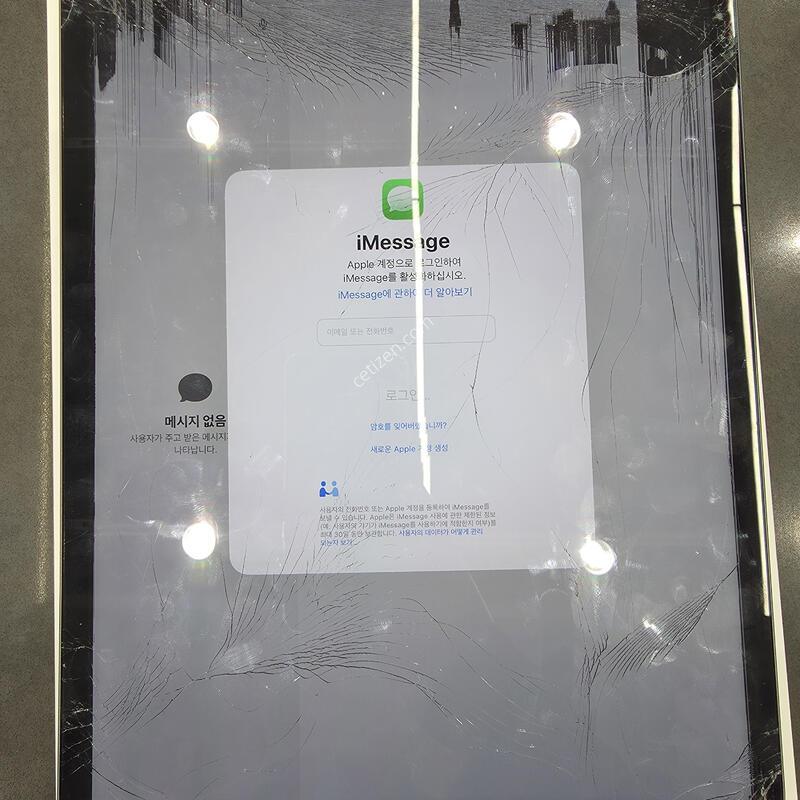 �����е�����5���� 12.9 256G ��������