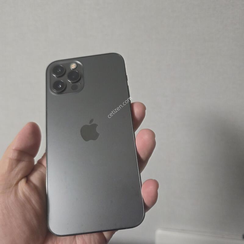 ������12���� �׶�����Ʈ 256�Ⱑ A�� �˴ϴ�.