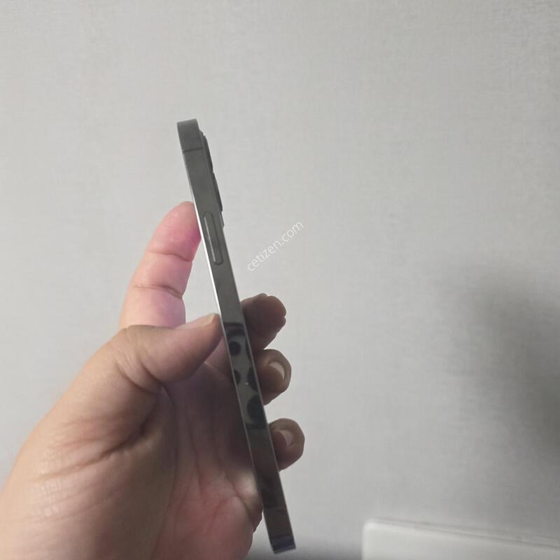 ������12���� �׶�����Ʈ 256�Ⱑ A�� �˴ϴ�.