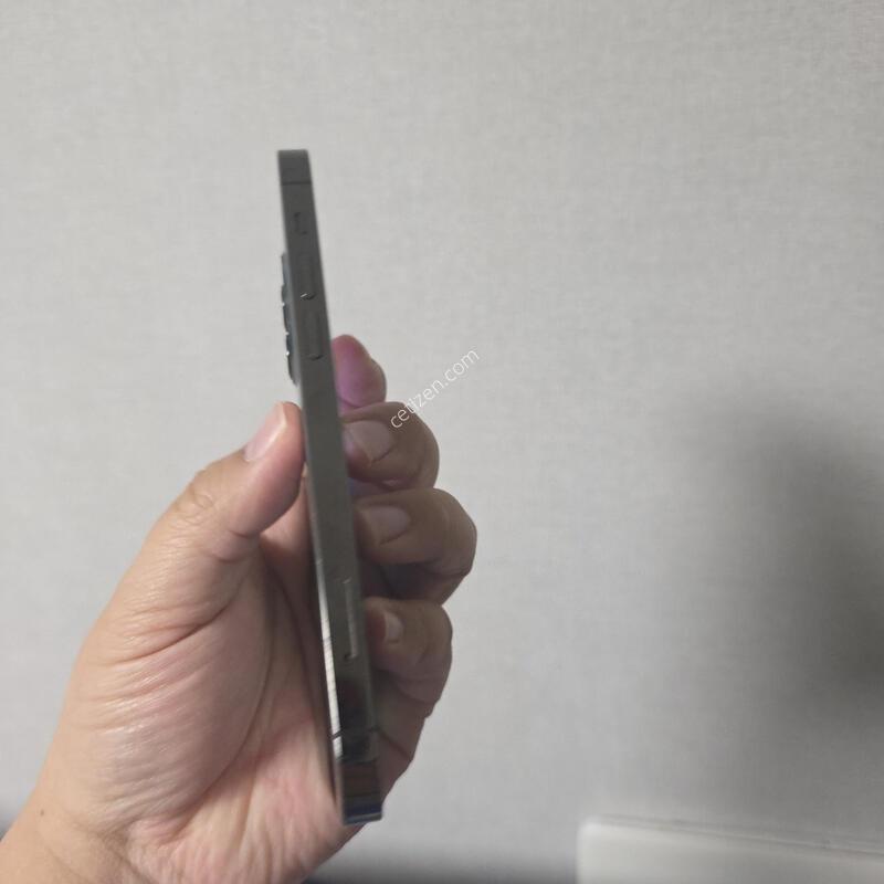 ������12���� �׶�����Ʈ 256�Ⱑ A�� �˴ϴ�.